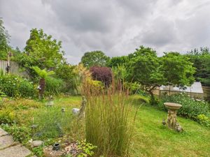 Garden alternative- click for photo gallery